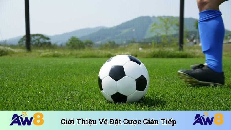 Giới thiệu về đặt cược gián tiếp