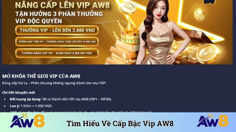Tìm hiểu về cấp bậc thành viên VIP AW8